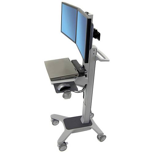 Ergotron Neo-Flex Dual WideView